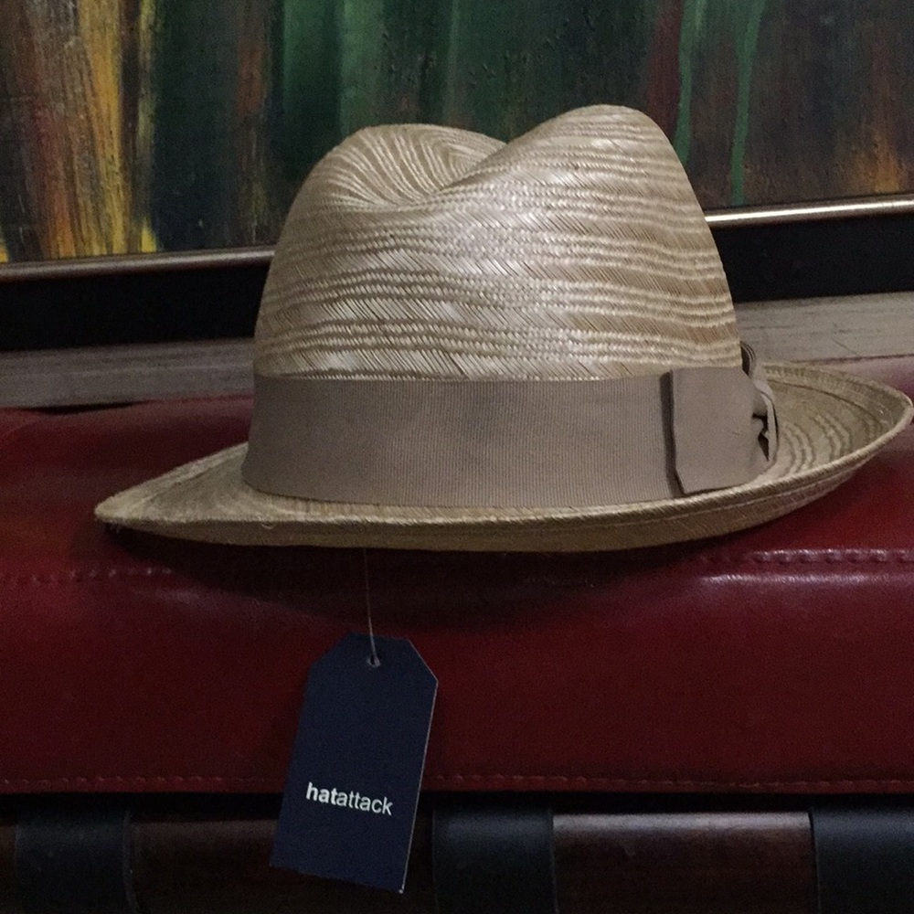 HAT ATTACK. Fab Metallic Fedora (NWT)